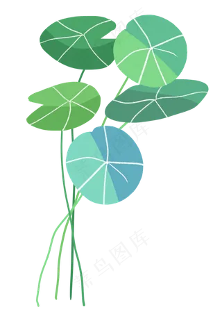 植物绿色树叶草叶子