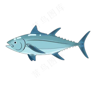海鲜海洋生物鱼 青鱼金枪鱼,免抠元素