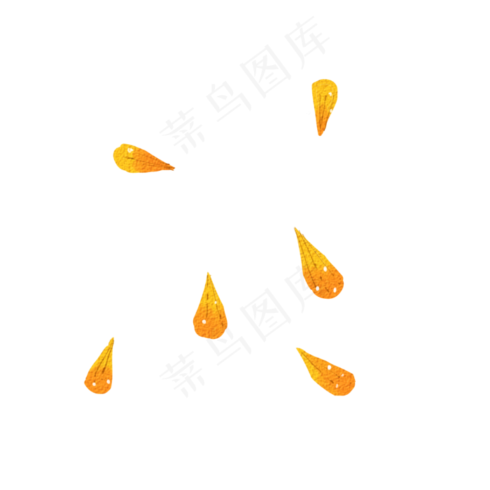黄色金盏花花瓣飘落png,免抠元素(2000*2000px 300 dpi )psd模版下载