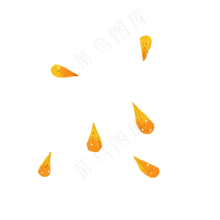 黄色金盏花花瓣飘落png,免抠元素(2000*2000px 300 dpi )psd模版下载