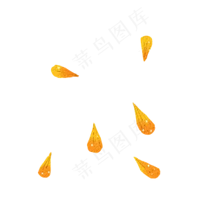 黄色金盏花花瓣飘落png,免抠元素