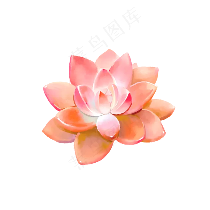 小清新水彩多肉植物1(2000X2000(DPI:300))psd模版下载