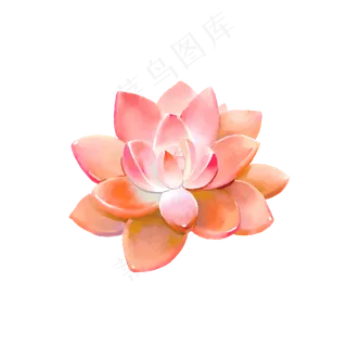 小清新水彩多肉植物1