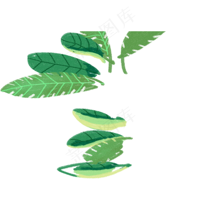 春天植物绿叶下载