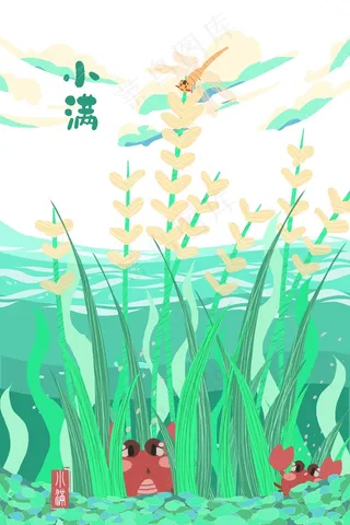 夏季节气小满季节水漫稻谷配图