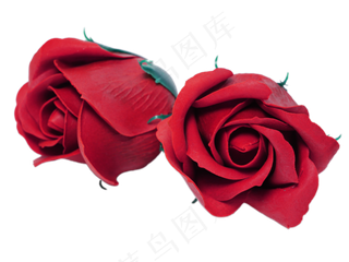 玫瑰花红玫瑰