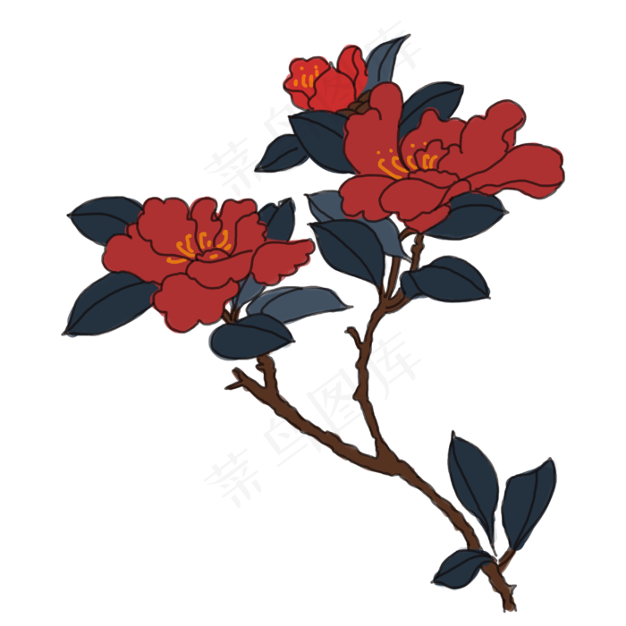 中国风手绘茶花卉插图(3000X3000(DPI:300))psd模版下载