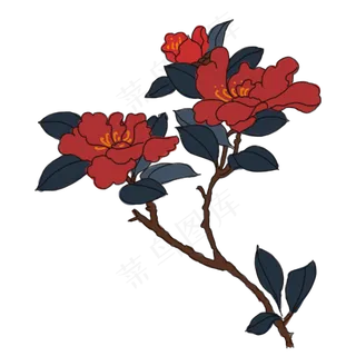 中国风手绘茶花卉插图