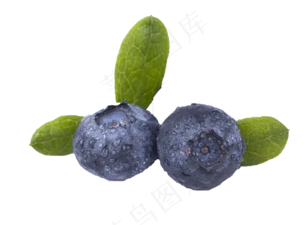 酸甜可口营养蓝莓,免抠元素