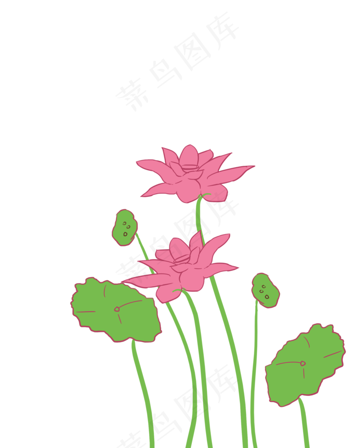 荷花荷叶(2000*2525px 300 dpi )