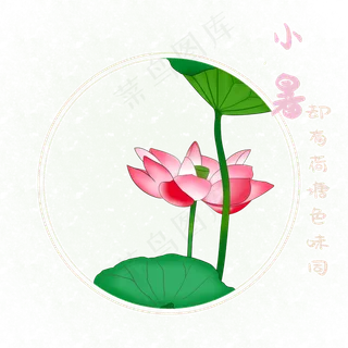 夏日大暑节气装饰荷花荷塘,免抠元素