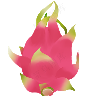 火龙果热带水果新鲜