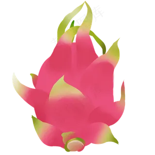 火龙果热带水果新鲜