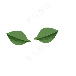 春天植物绿叶下载