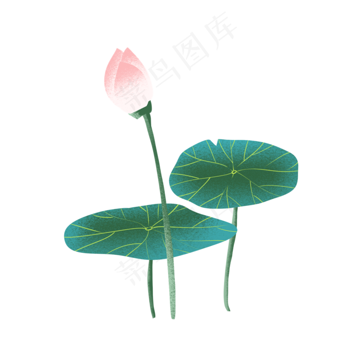 荷花荷叶莲花(2000X2000(DPI:299))psd模版下载
