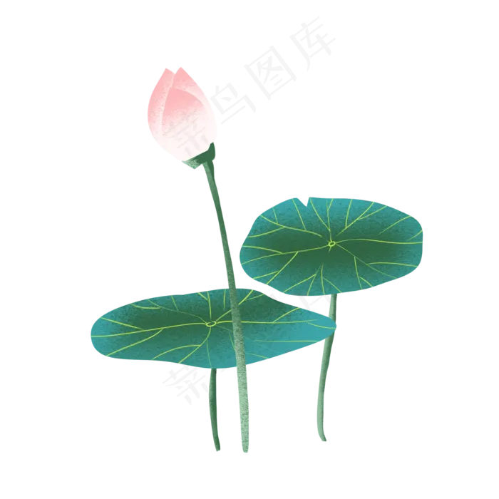  荷花荷叶莲花(2000X2000(DPI:299))psd模版下载