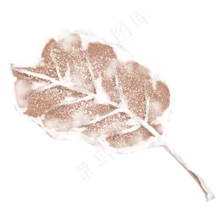 彩绘被雪覆盖的一片叶子设计可商