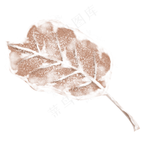 彩绘被雪覆盖的一片叶子设计可商