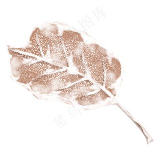 彩绘被雪覆盖的一片叶子设计可商