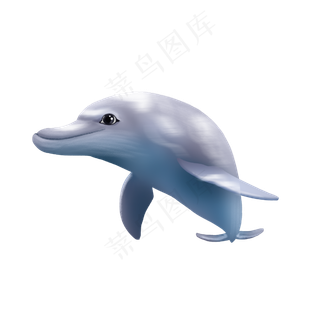 可爱海洋动物海豚,免抠元素