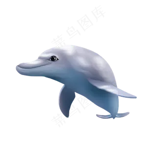 可爱海洋动物海豚,免抠元素