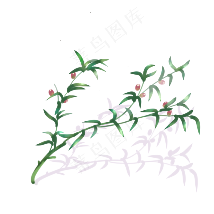八一建军节绿色橄榄枝(2000X2000(DPI:300))psd模版下载