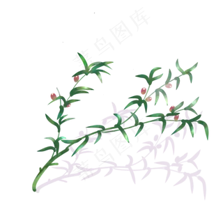 八一建军节绿色橄榄枝