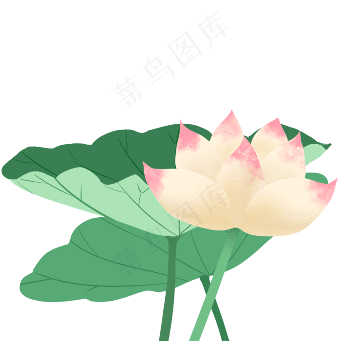 手绘荷花荷叶素材(2000X2000(DPI:300))psd模版下载