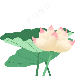 手绘荷花荷叶素材