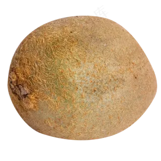 南方水果猕猴桃