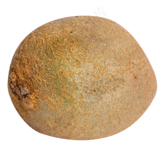 南方水果猕猴桃