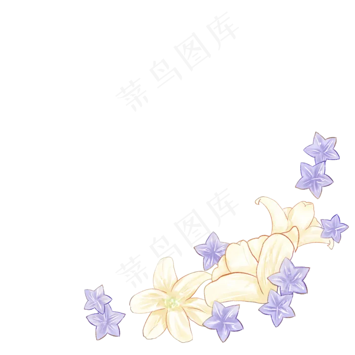 梦幻唯美百合桔梗花(2000X2000(DPI:299))psd模版下载