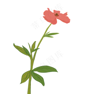 春天美丽鲜花下载