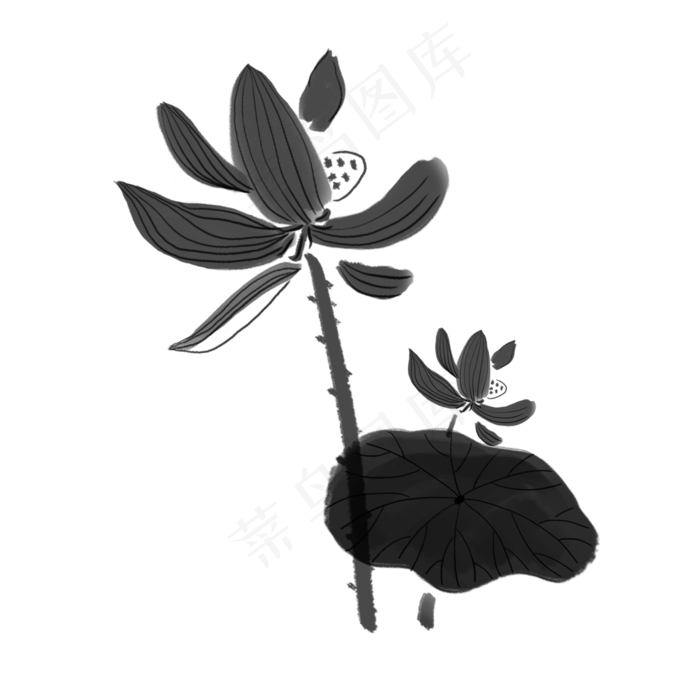 手绘中国风水墨荷花植物免抠图(2000X2000(DPI:300))psd模版下载