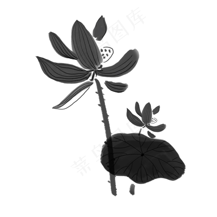 手绘中国风水墨荷花植物免抠图(2000X2000(DPI:300))psd模版下载