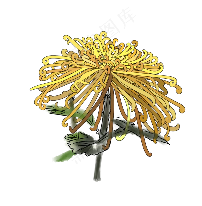 重阳节菊花素材(2391X2432(DPI:300))psd模版下载
