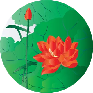 手绘花元素荷花荷叶中国风