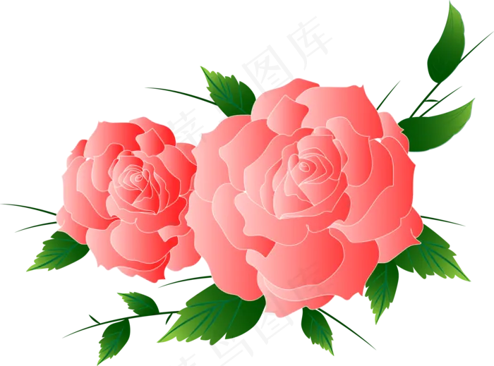玫瑰花鲜花(2000X2000(DPI:300))ai矢量模版下载