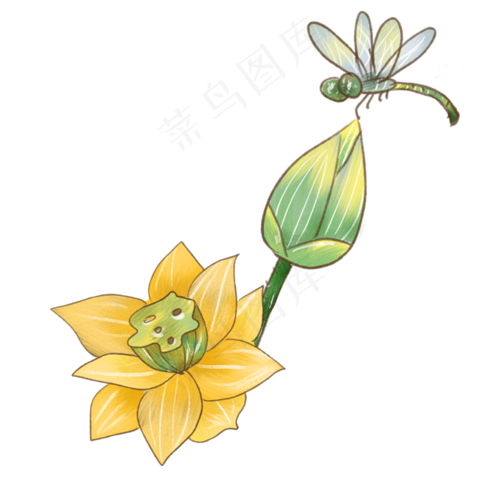 黄色荷花装饰插画