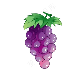 食物水果紫色葡萄