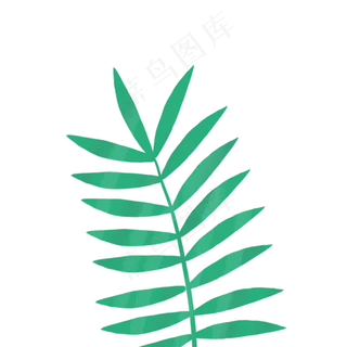 春天植物绿叶下载