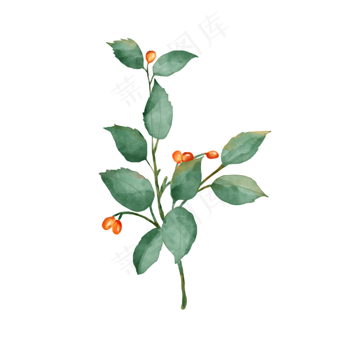 水彩叶子植物元素(4000X4000(DPI:300))psd模版下载