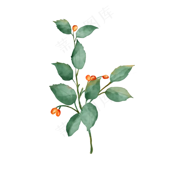 水彩叶子植物元素(4000X4000(DPI:300))psd模版下载