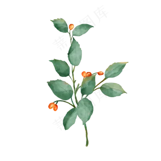 水彩叶子植物元素