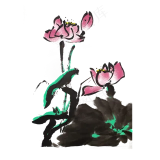 荷花荷叶水墨手绘