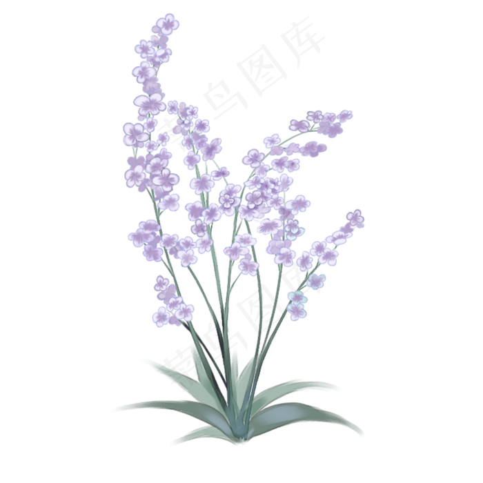 中国古风手绘花卉丁香花