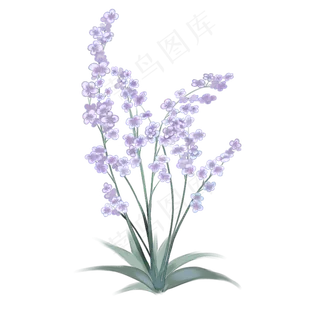 中国古风手绘花卉丁香花