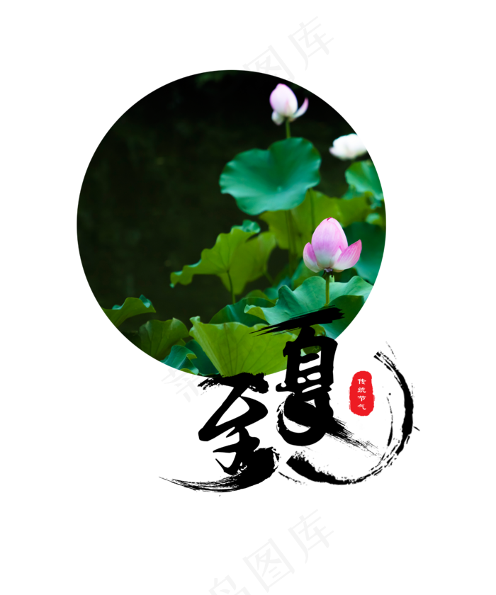 夏至节气莲花(2500X3000(DPI:300))psd模版下载