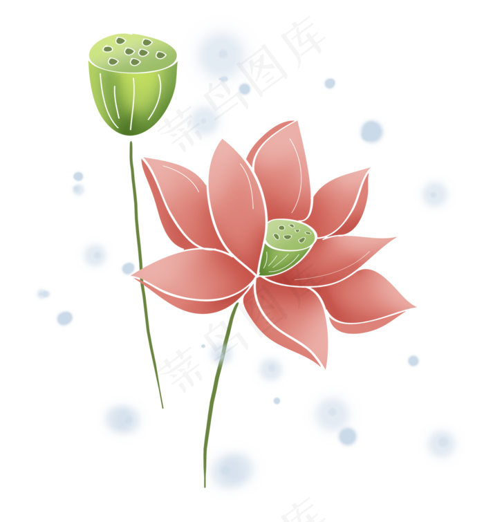 夏天荷花与莲蓬,免抠元素
