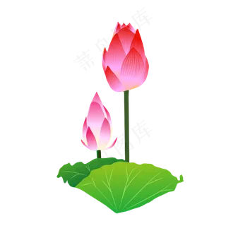 手绘盛开的荷花矢量免抠图